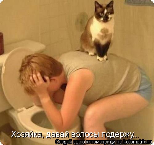 Хозяйка, давай волосы подержу...... Котоматрица: Хозяйка, давай волосы подержу...
