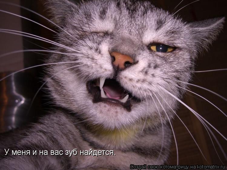 Котоматрица: У меня и на вас зуб найдется.