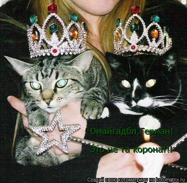 Омайгадбл,Герман! Это не та корона!!!... Котоматрица: Омайгадбл,Герман! Это не та корона!!!