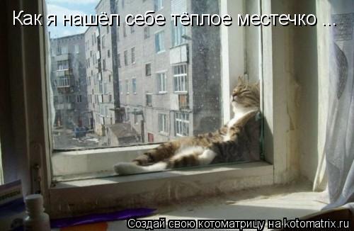 Котоматрица: Как я нашёл себе тёплое местечко ...