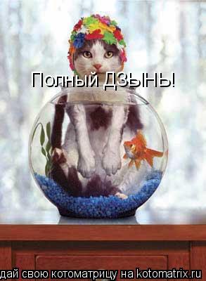 Полный ДЗЫНЬ!... Котоматрица: Полный ДЗЫНЬ!