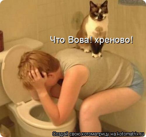 Котоматрица: Что Вова! хреново!