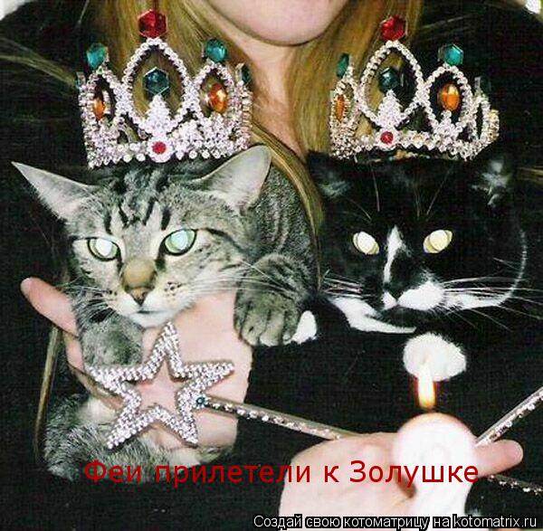 Котоматрица: Феи прилетели к Золушке