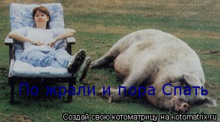 Котоматрица: По жрали и пора Спать