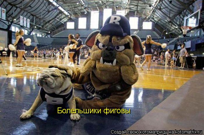 Котоматрица: Болельшики фиговы