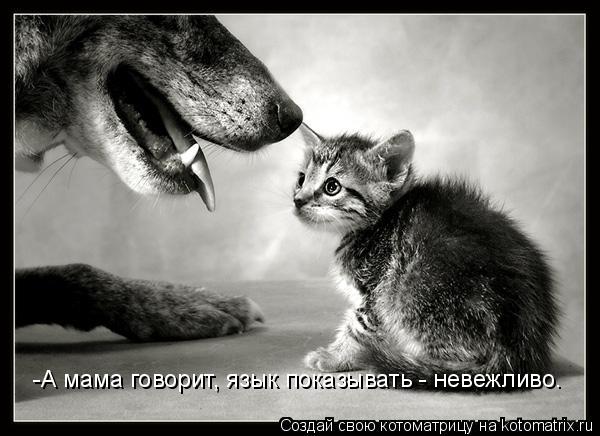 Котоматрица: -А мама говорит, язык показывать - невежливо.