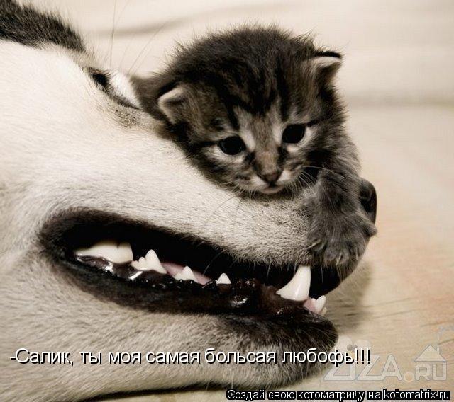 Котоматрица: -Салик, ты моя самая больсая любофь!!!