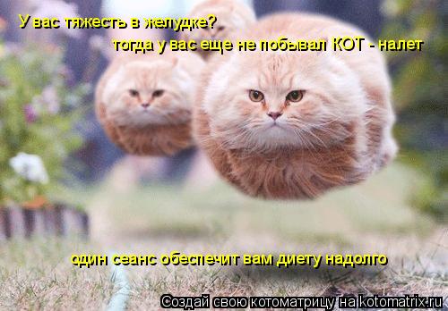 У вас тяжесть в желудке? тогда у вас еще не побывал КОТ - налет один сеанс обеспечит вам диету надолг... Котоматрица: У вас тяжесть в желудке? тогда у вас еще не побывал КОТ - налет один сеанс обеспечит вам диету надолго