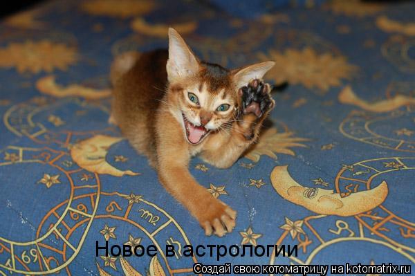 Новое в астрологии... Котоматрица: Новое в астрологии
