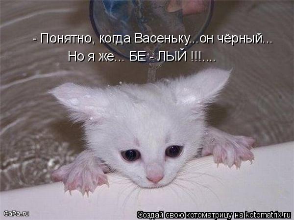 Котоматрица: - Понятно, когда Васеньку...он чёрный... Но я же... БЕ - ЛЫЙ !!!....
