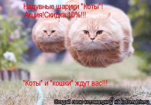 Котоматрица: Надувные шарики "Коты"! Надувные шарики "Коты"! Акция!Скидка 10%!!! "Коты" и "кошки" ждут вас!!!