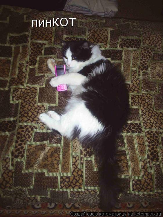 ПИН КОТ... Котоматрица: ПИН КОТ