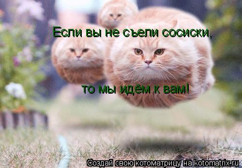 Котоматрица: Если вы не съели сосиски,  то мы идём к вам!