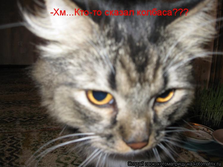 -Хм...Кто-то сказал колбаса???... Котоматрица: -Хм...Кто-то сказал колбаса???