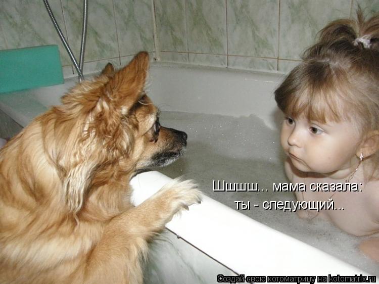 Шшшш... мама сказала: ты - следующий...... Котоматрица: Шшшш... мама сказала: ты - следующий...