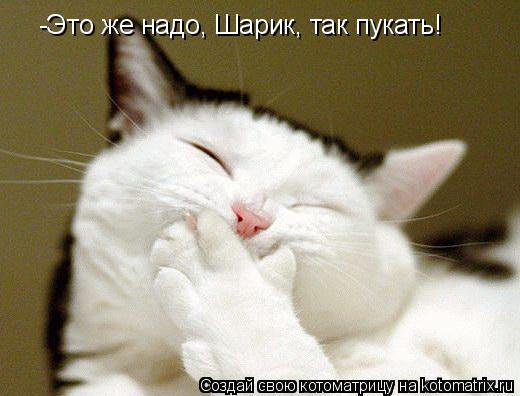 -Это же надо, Шарик, так пукать!... Котоматрица: -Это же надо, Шарик, так пукать!