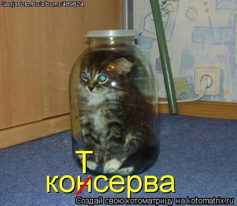 Котоматрица: консерва / Т