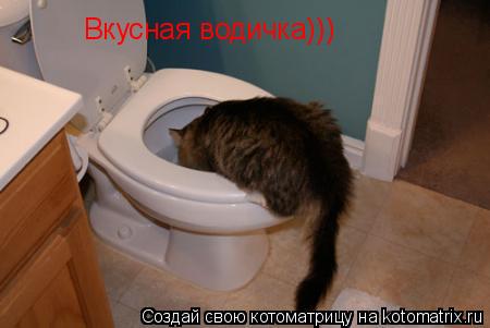 Котоматрица: Вкусная водичка)))