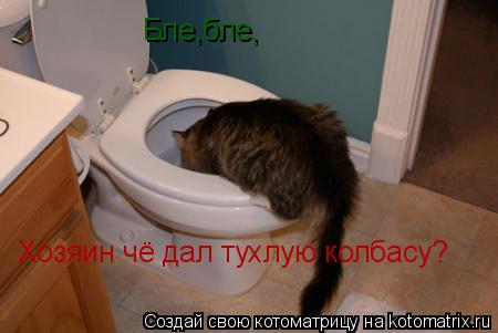 Котоматрица: Бле,бле, Хозяин чё дал тухлую колбасу?