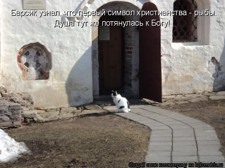 Котоматрица: Барсик узнал, что первый символ христианства - рыбы. Душа тут же потянулась к Богу!