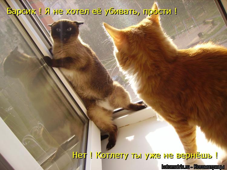 Котоматрица: Барсик ! Я не хотел её убивать, прости ! Нет ! Котлету ты уже не вернёшь !