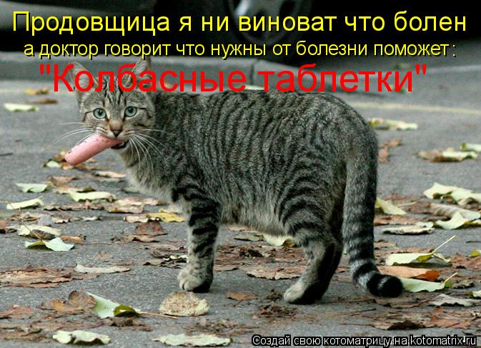 Котоматрица: Продовщица я ни виноват что болен а доктор говорит что нужны от болезни поможет "Колбасные таблетки" :