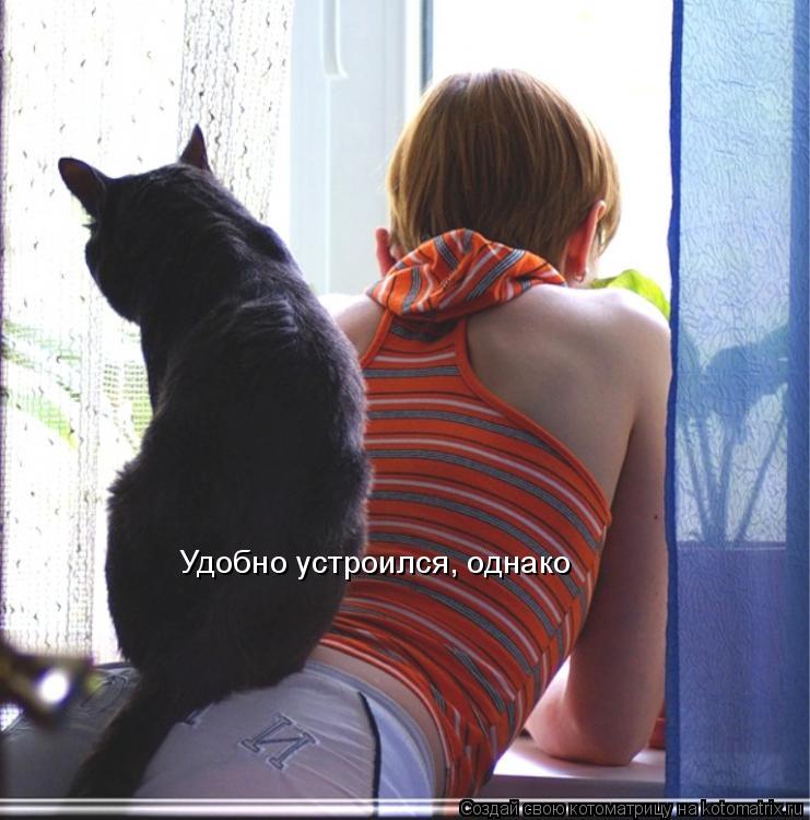 Удобно устроился, однако... Котоматрица: Удобно устроился, однако