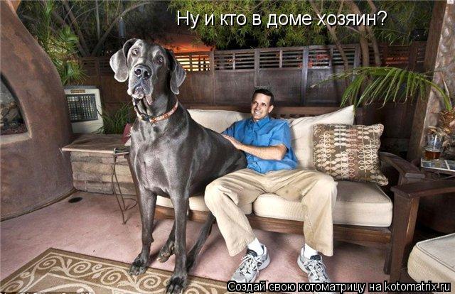 Ну и кто в доме хозяин?... Котоматрица: Ну и кто в доме хозяин?
