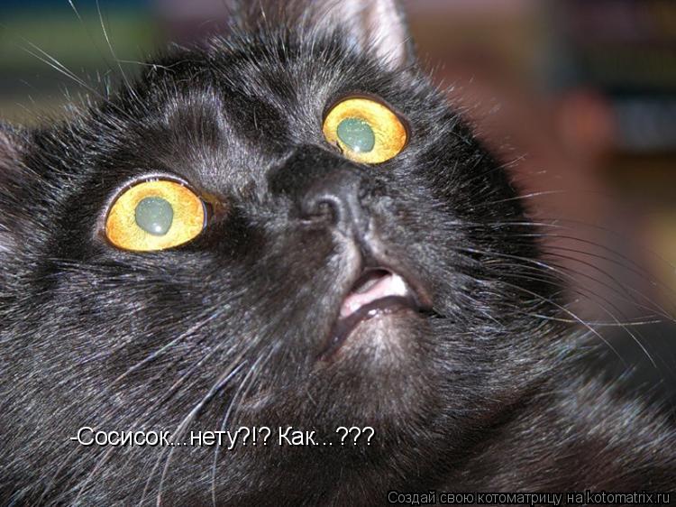 Котоматрица: -Сосисок...нету?!? Как...???