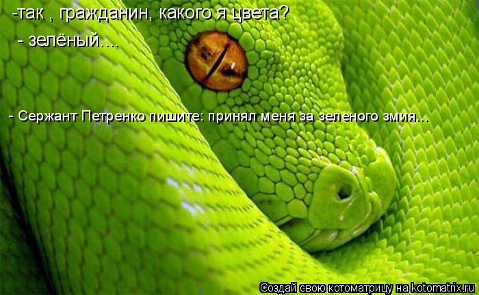 Котоматрица: -так , гражданин, какого я цвета? - зелёный.... - Сержант Петренко пишите: принял меня за зеленого змия...