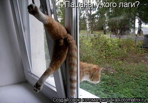 Котоматрица: Пацаны у кого лаги?