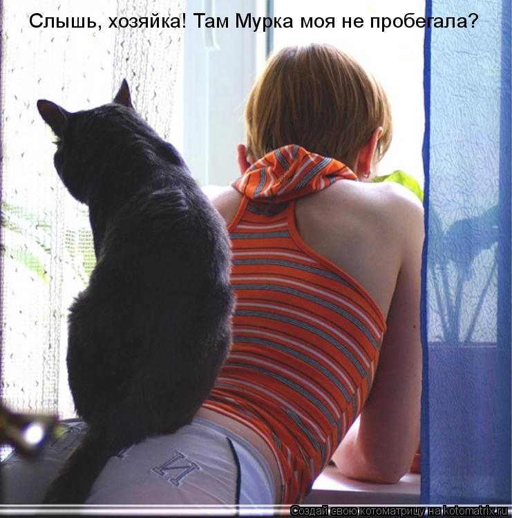Котоматрица: Слышь, хозяйка! Там Мурка моя не пробегала?