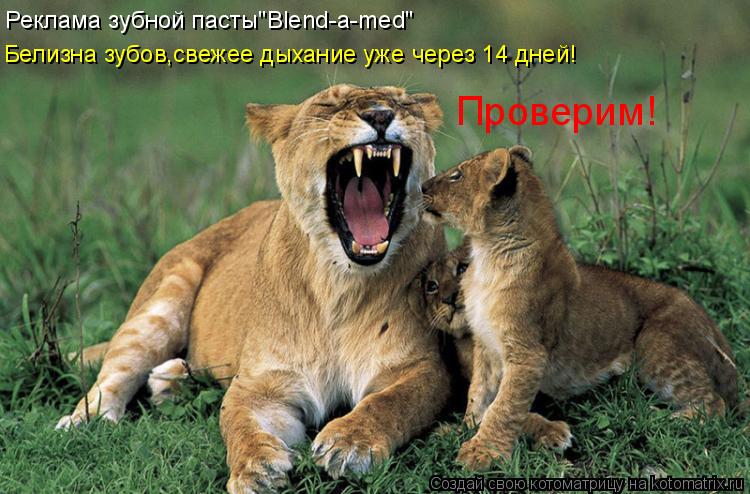 Котоматрица: Реклама зубной пасты"Blend-a-med" Белизна зубов,свежее дыхание уже через 14 дней! Проверим!