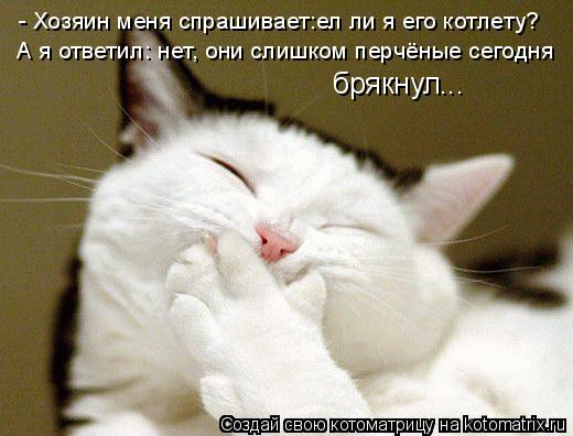 Котоматрица: - Хозяин меня спрашивает:ел ли я его котлету?  А я ответил: нет, они слишком перчёные сегодня брякнул...