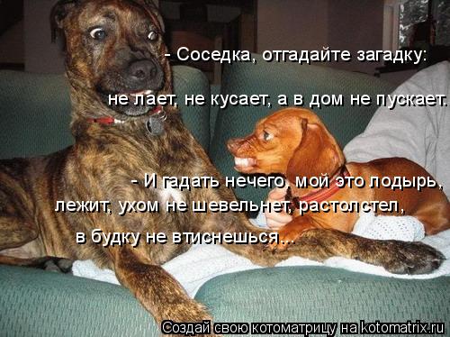 Котоматрица: - Соседка, отгадайте загадку: - И гадать нечего, мой это лодырь, лежит, ухом не шевельнет, растолстел,  не лает, не кусает, а в дом не пускает. в б