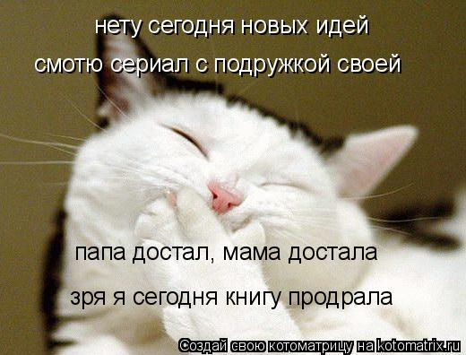 Котоматрица: нету сегодня новых идей  смотю сериал с подружкой своей зря я сегодня книгу продрала папа достал, мама достала