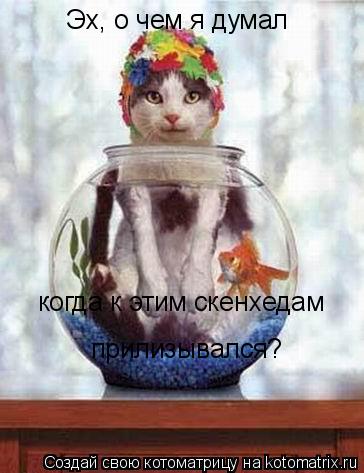 Эх, о чем я думал когда к этим скенхедам прилизывался?... Котоматрица: Эх, о чем я думал когда к этим скенхедам прилизывался?