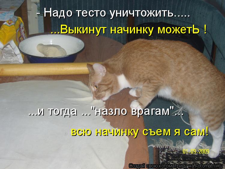 Котоматрица: - Надо тесто уничтожить..... ...Выкинут начинку можетЬ ! всю начинку съем я сам! ...и тогда ..."назло врагам"...