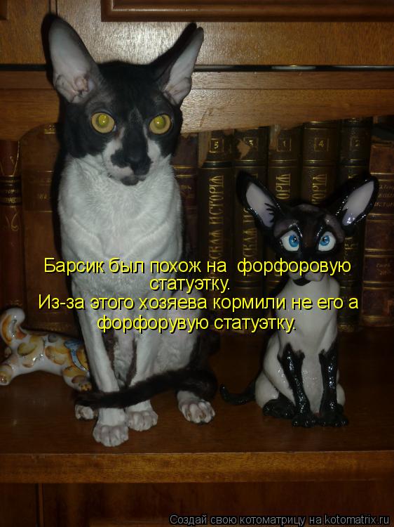 Барсик был похож на форфоровую статуэтку. Из-за этого хозяева кормили не его а форфорувую статуэтку.... Котоматрица: Барсик был похож на форфоровую статуэтку. Из-за этого хозяева кормили не его а форфорувую статуэтку.