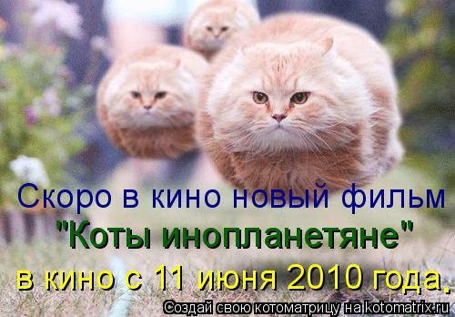 Котоматрица: Скоро в кино новый фильм "Коты инопланетяне" в кино с 11 июня 2010 года .