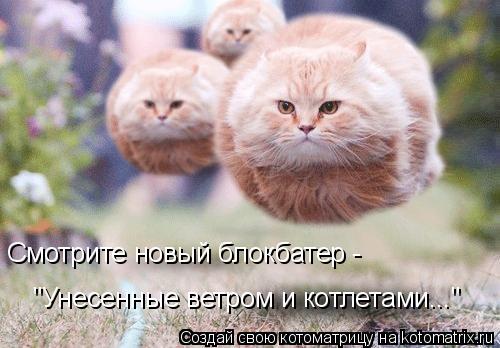 Котоматрица: Смотрите новый блокбатер -  "Унесенные ветром и котлетами..."