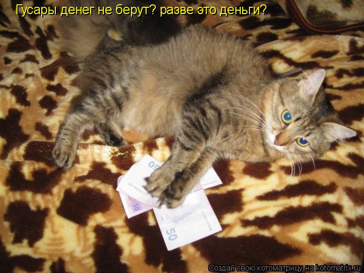 Котоматрица: Гусары денег не берут? разве это деньги?