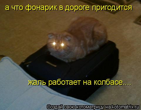 Котоматрица: а что фонарик в дороге пригодится жаль работает на колбасе....