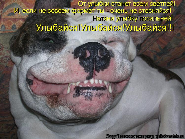 Котоматрица: От улыбки станет всем светлей! И, если не совсем формат ты - очень не стесняйся! Натяни улыбку посильней! Улыбайся!Улыбайся!Улыбайся!!!
