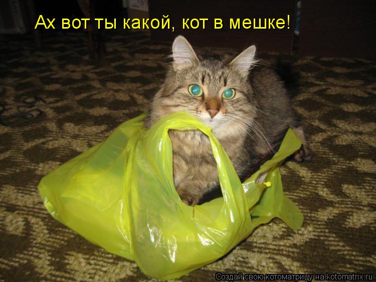 Котоматрица: Ах вот ты какой, кот в мешке!