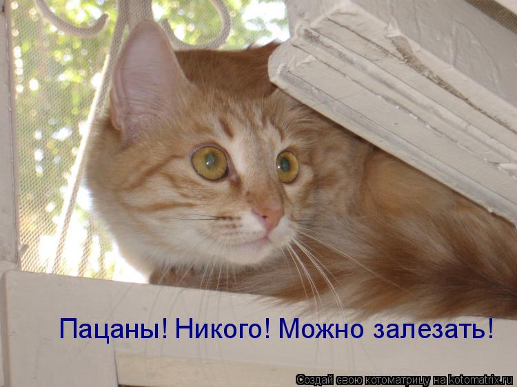 Пацаны! Никого! Можно залезать!... Котоматрица: Пацаны! Никого! Можно залезать!