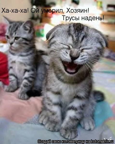 Ха-ха-ха! Ой уморил, Хозяин! Трусы надень!... Котоматрица: Ха-ха-ха! Ой уморил, Хозяин! Трусы надень!