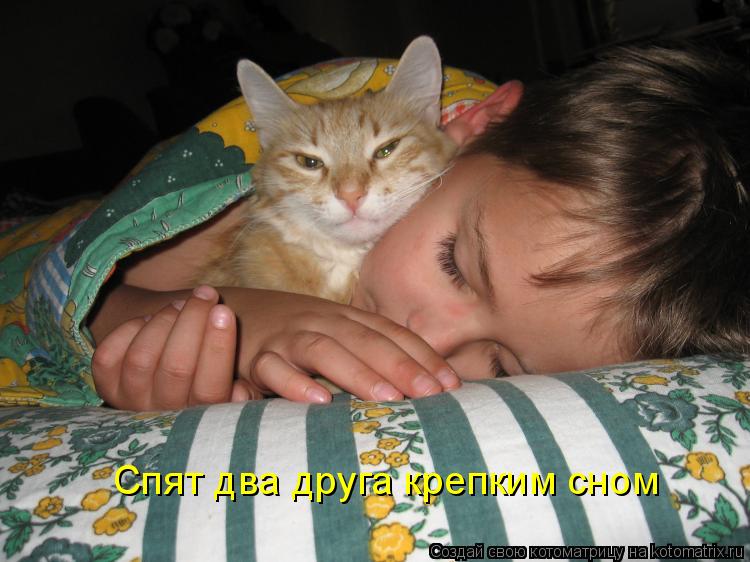 Котоматрица: Спят два друга крепким сном