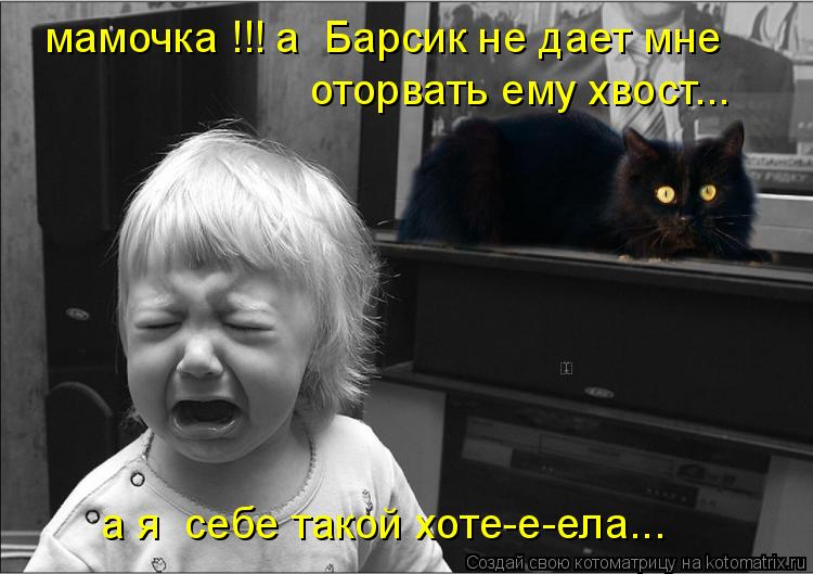 мамочка !!! а Барсик не дает мне оторвать ему хвост... а я себе такой хоте-е-ела...... Котоматрица: мамочка !!! а Барсик не дает мне оторвать ему хвост... а я себе такой хоте-е-ела...