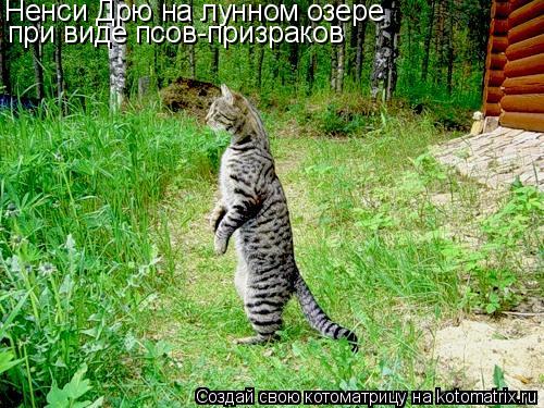 Котоматрица: Ненси Дрю на лунном озере при виде псов-призраков